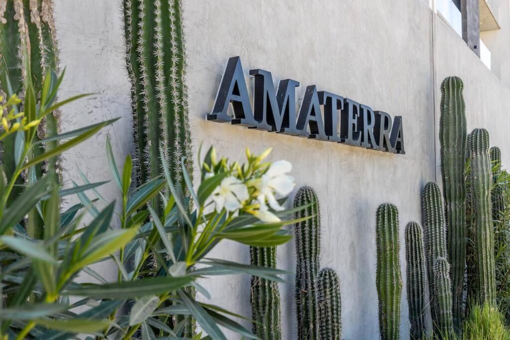Endless Summer - 2Bed 2Bath Condo - Seasonly Heated Pool With Ocean Views - 5Min Walk To Beach - Fibre Internet - Sleeps 6 Cabo San Lucas Exteriör bild